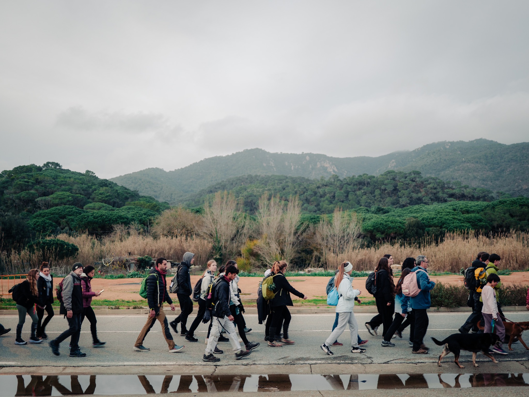 Pare Pelegrí - 619324330_1292963003005696_716877143519849898_n